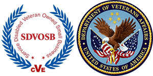 P4p Supports Veterans Va Dsvosb P4p Supports Veterans Va Dsvosb